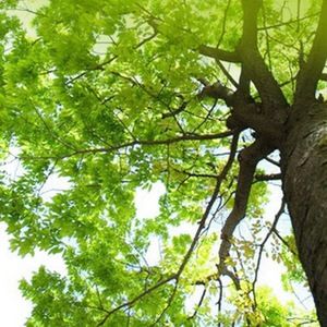 Meet your Posher, Jerry